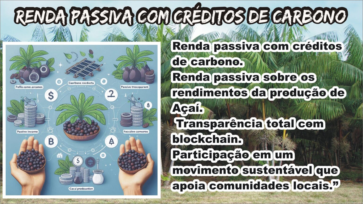 00-C-RENDA.jpg