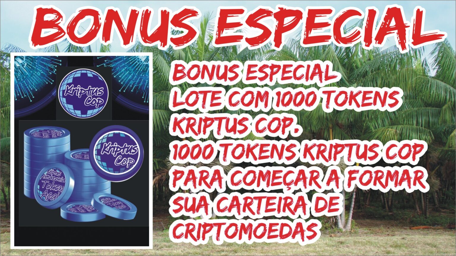 001-BONUS.jpg